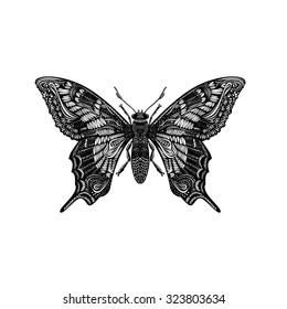 Amazing fly butterfly  Vector  Creative concept for invitations  cards  Black   white