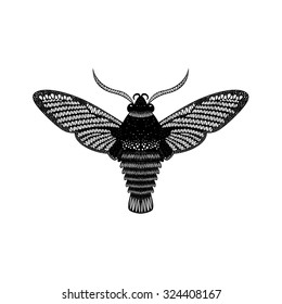 Amazing fly butterfly. Vector. Creative concept for invitations  cards. Black and white