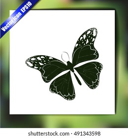 Amazing fly butterfly. Vector. Creative bohemia concept for wedding invitations, cards, tickets, congratulations, branding, logo, label. 