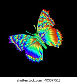 Amazing fly butterfly vector illustration