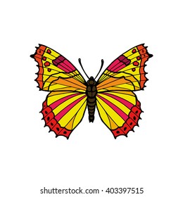 Amazing fly butterfly vector illustration