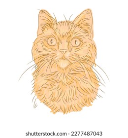 amazing hand drawn cat portrait. Isolated vector illustration