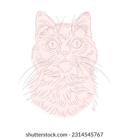 amazing hand drawn cat portrait. Isolated vector illustration