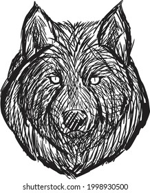 amazing hand drawn vintage wolf line art vector