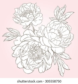 Amazing hand-drawn bouquet of peonies. Vector illustration