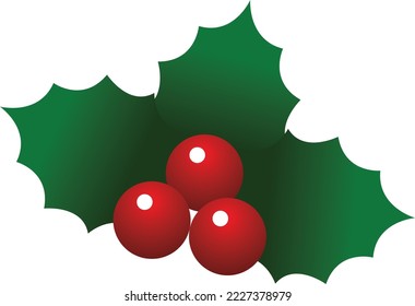 amazing illustration of  marry christmas berries 