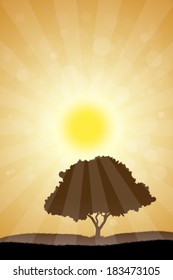 Amazing Landscape with Grass, Sun and Tree