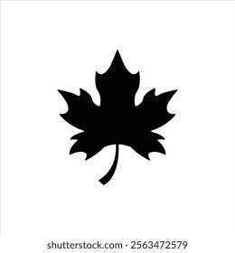 Amazing maple leaf silhouette vector art illustration.