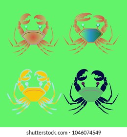 Amazing new animal crab multicolor.