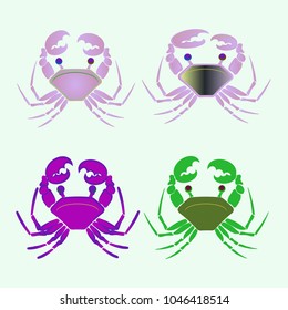 Amazing new animal crab multicolor.