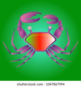 Amazing new animal crab multicolor.
