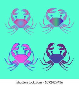 Amazing new animal crab multicolor.