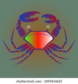 Amazing new animal crab multicolor.