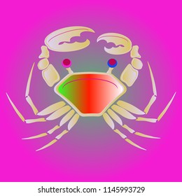 Amazing new animal crab multicolor.