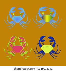 Amazing new animal crab multicolor.