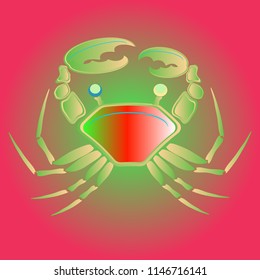 Amazing new animal crab multicolor.