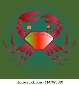 Amazing new animal crab multicolor.
