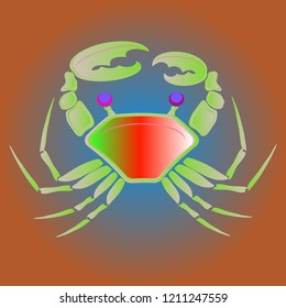 Amazing new animal crab multicolor.