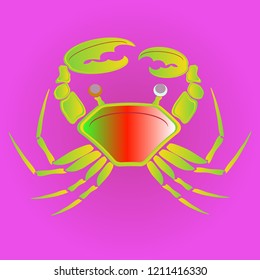Amazing new animal crab multicolor.