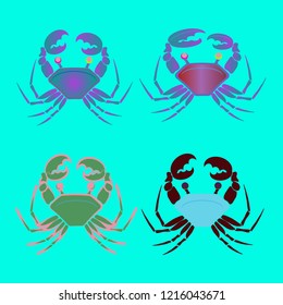 Amazing new animal crab multicolor.