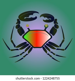 Amazing new animal crab multicolor.