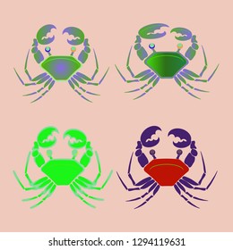 Amazing new animal crab multicolor.