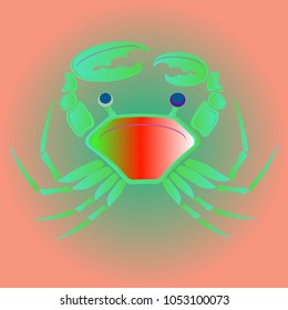 Amazing new animal crab multicolored.