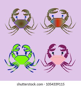 Amazing new animal crab multicolored.