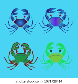 Amazing new animal crab multicolored.