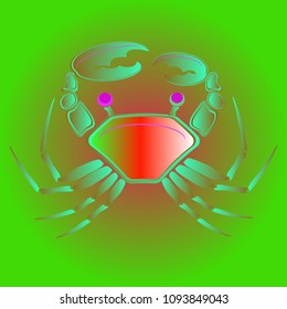 Amazing new animal crab multicolored.