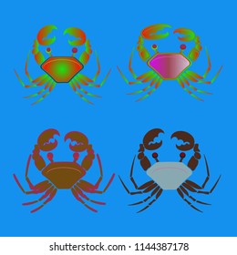 Amazing new animal crab multicolored.