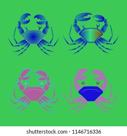 Amazing new animal crab multicolored.