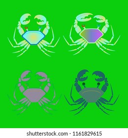 Amazing new animal crab multicolored.