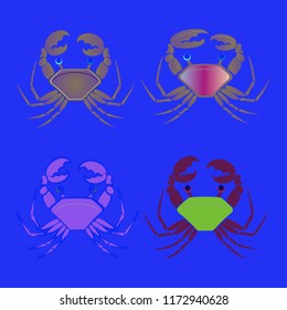 Amazing new animal crab multicolored.