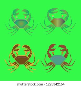 Amazing new animal crab multicolored.