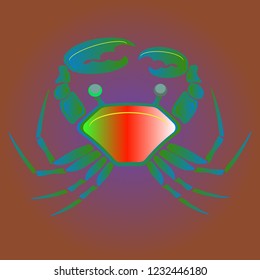 Amazing new animal crab multicolored.