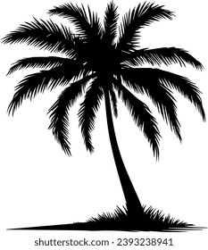Amazing Palm Silhouettes EPS Palm Vector
