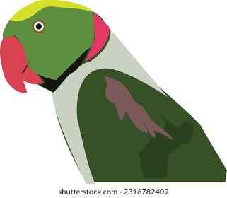 amazing parrot with Green Colour Beautiful close-up pictures colorful and beautiful.