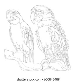 Similar Images Stock Photos Amp Vectors Of Coloring Page Of