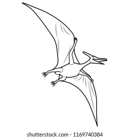 amazing pterodactyl dinosaur flying on the air sky
