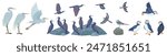 Amazing set with different birds for your design. Vector illustration