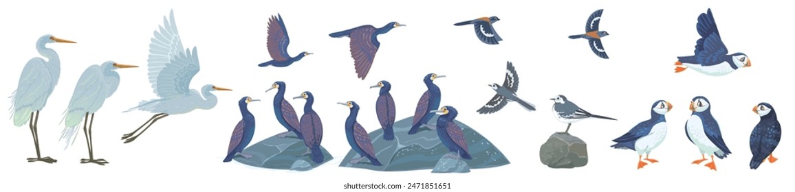 Conjunto increíble con diferentes pájaros para su diseño. Ilustración vectorial