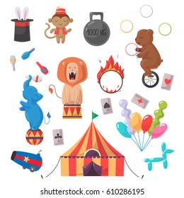 Amazing show with trained animals and different circus stuff illustration set