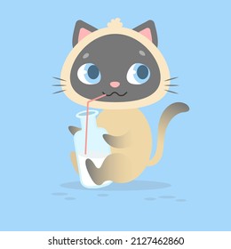 amazing siamese cat drinks milk. bottle of milk with straws. 