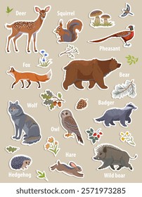 Amazing sticker set with forest animals, wolf, deer, bear, fox, owl, squirrel, pheasant, hedgehog, hare, wild boar and badger. Vector illustration