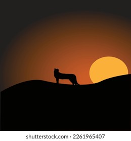 Amazing Sunset with leopard and Mountain to Show amazing mood