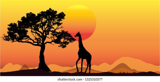 Amazing sunset and sunrise.Panorama silhouette tree in africa with sunset.Tree silhouetted against a setting sun.Dark tree on open field dramatic sunrise.Safari theme.Giraffes , Lion , Rhino
