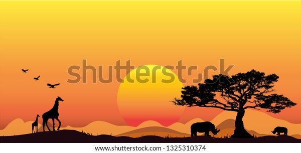 Erstaunlicher Sonnenuntergang Und Sonnenaufgang Panorama Silhouette Baum In Afrika Stock Vektorgrafik Lizenzfrei