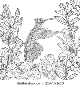 Amazing tropical hummingbirds adult coloring page for stress relieving and mind relaxation