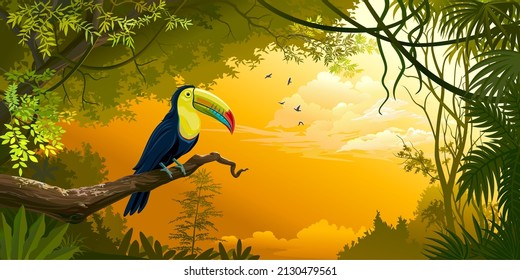 An amazing tucan bird sitting on a branch of a tree in the middle of a beautiful green tropical forest.